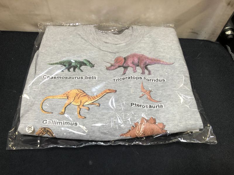 Photo 2 of boys cartoon sweatshirt grey/dinosaur 3T SIZE 