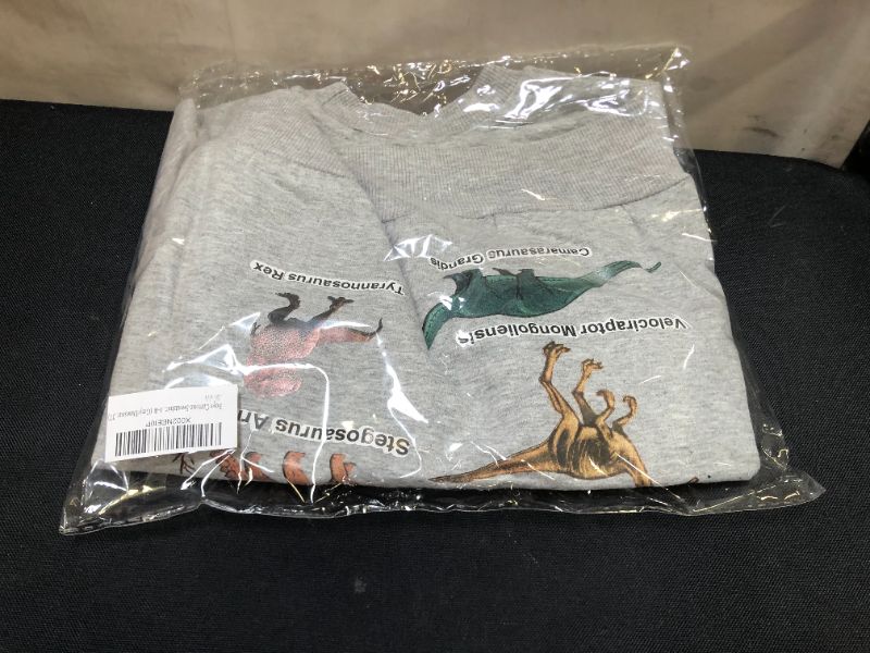 Photo 1 of boys cartoon sweatshirt grey/dinosaur 3T SIZE 