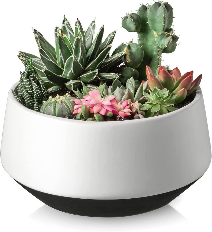 Photo 2 of ZONESUM Large Succulent Planter, 8.5 Inch Pots with Drainage Hole, Ceramic Planter for Cactus Or Orchids, Snake Plants, Small Christmas Tree, Christmas Decorations or Gifts
