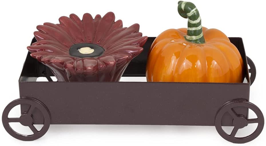 Photo 1 of Boston International Ceramic Salt & Pepper Shakers, small  3 x 3.25-Inches, Fall All Over
