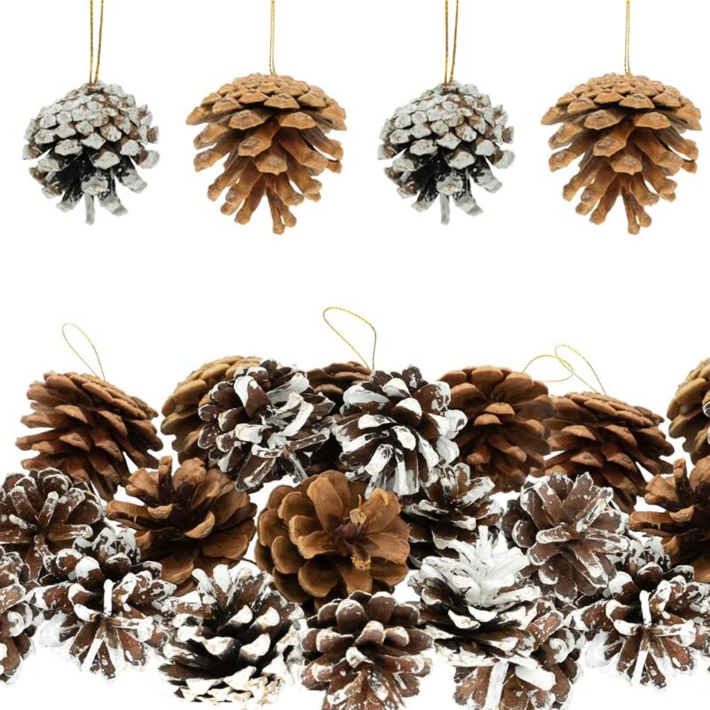 Photo 1 of 28 pcs Natural Dried Christmas Pine Cones with String Holiday Pinecones 