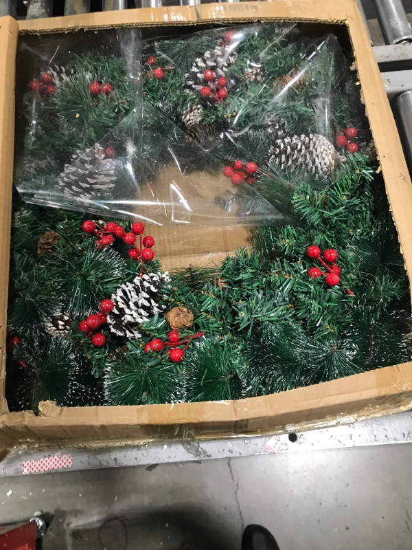 Photo 1 of 24inch Round Christmas Reef