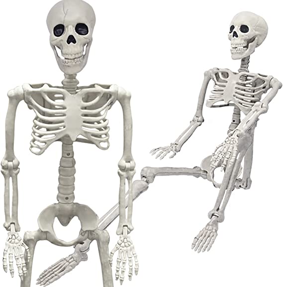 Photo 1 of 36" Skeleton Halloween Decorations, 3FT Realistic Full Body Movable Posable Joints Skeleton, Creepy Halloween Plastic Skeleton for Graveyard Decorations, Haunted House Props Indoor/Outdoor Decor
