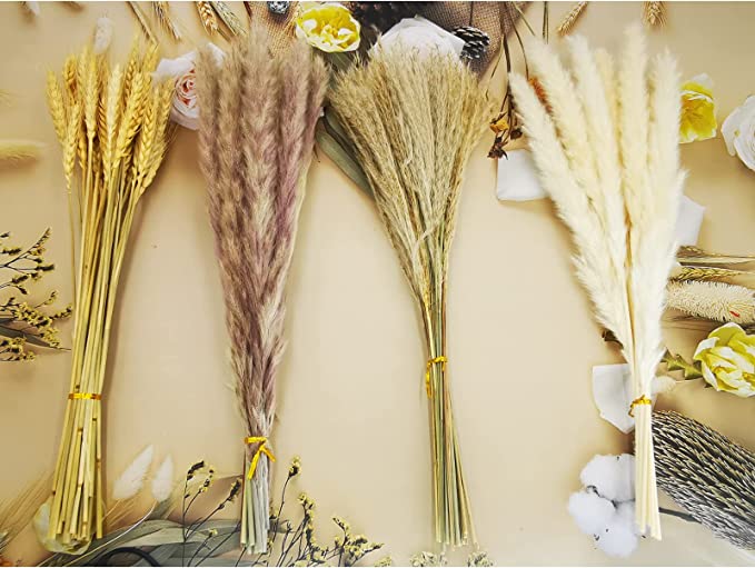 Photo 1 of 100 PCS Boho Pampas Grass - Nature Dried Pampas Grass Decor,Fluffy Rustic Trendy Minimalist, Boho Farmhouse Room Home Party Table Wedding Decor
