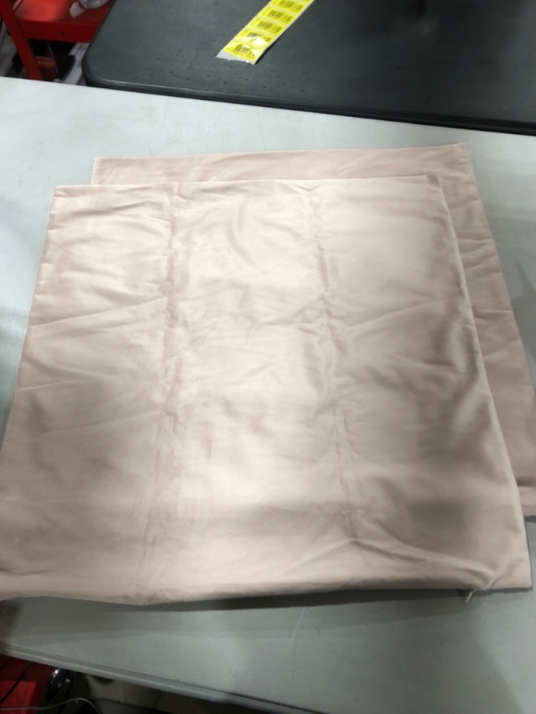Photo 1 of 2 pack of pink velvet  pillow cases 20x20in