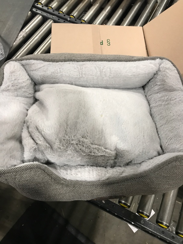 Photo 1 of 24"x16" pet bed