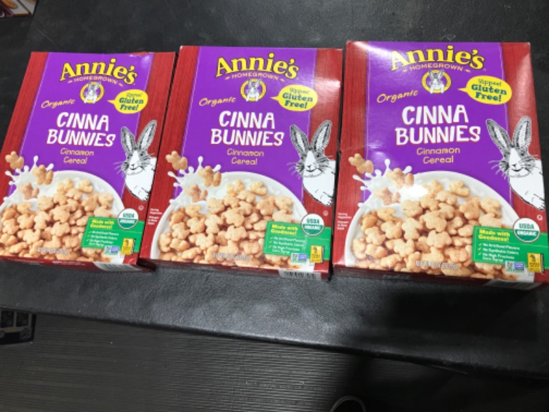 Photo 1 of 10 Oz Organic Cinnabunnies Cereal PACK OF 3