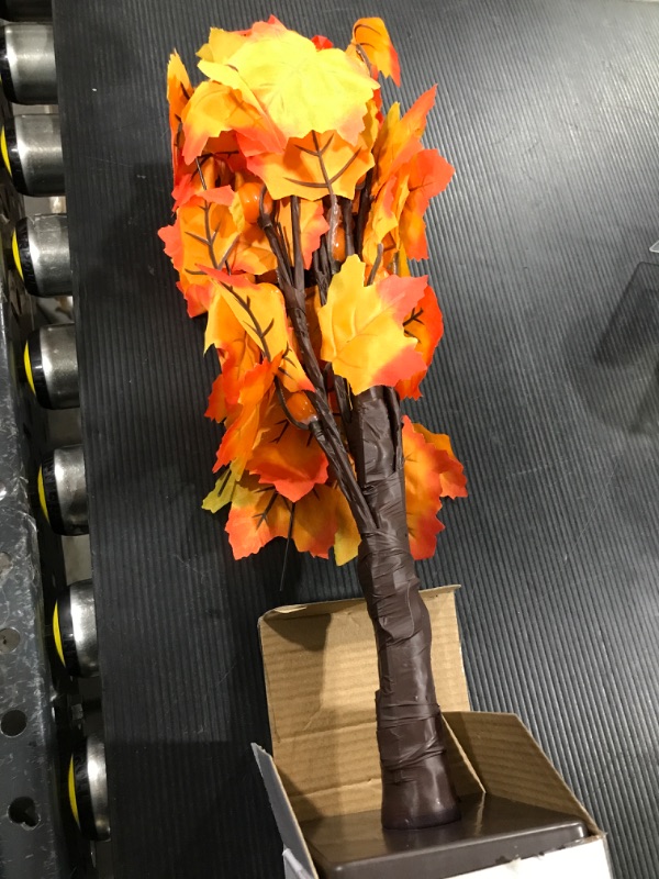 Photo 2 of 24-inch Fall Lighted Maple Tree, 24 LED Pumpkin Lights, Halloween Thanksgiving Decorations Table Tree, Battery Operated Desktop Artificial Tree for Autumn...
