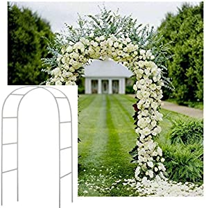 Photo 1 of Adorox 7.5Ft 1 Set White Metal Arch Wedding Garden Climbing Plants Bridal Party Decoration Arbor
WHITE