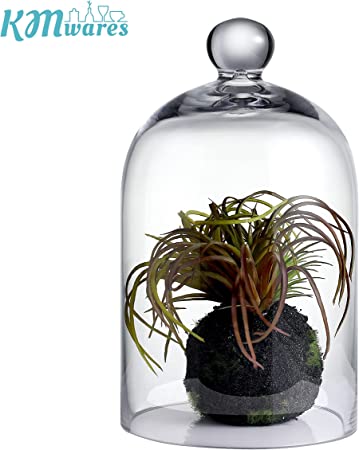 Photo 1 of 5.1"X8.9" Clear Glass Display Dome Cloche Bell Jar Tabletop Decorative Case covered plants/food
