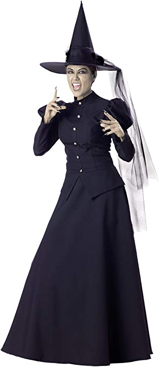 Photo 1 of InCharacter Wretched Witch Adult Costume
, SIZE M 