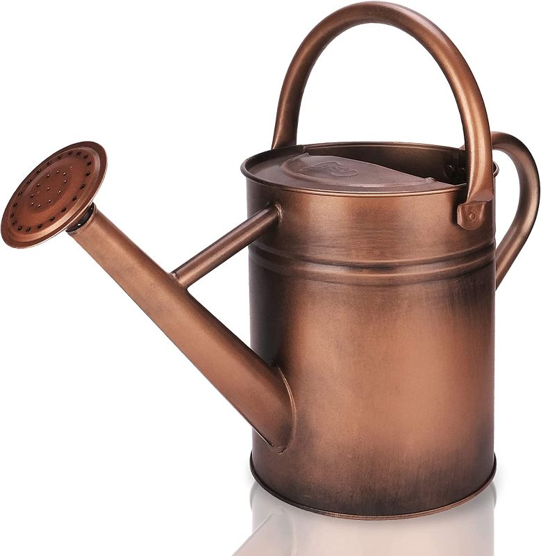 Photo 1 of Cesun Metal Watering Can Galvanized Steel Watering Pot for Outdoors Gardening, 1 Gallon for Outdoors Gardening