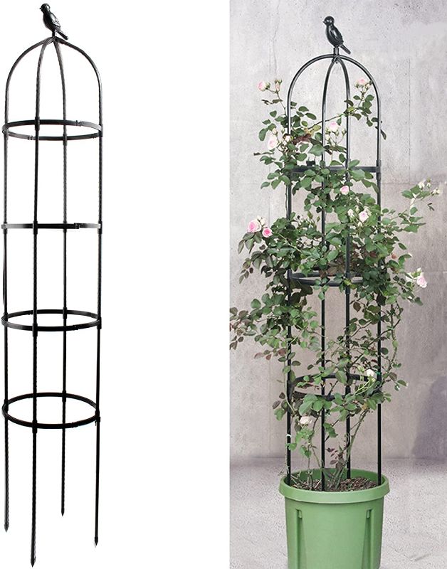 Photo 1 of Anothera Garden Trellis for Climbing Plants, 6ft Rustproof Metal Pipe with Heavy Duty Plastic Coated, Garden Outdoor Indoor Potted Plant Support, Round Obelisk Garden Trellis for Climbing Vine?Black?
