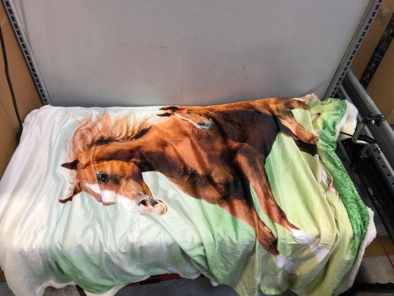 Photo 1 of 56x76" horse blanket 