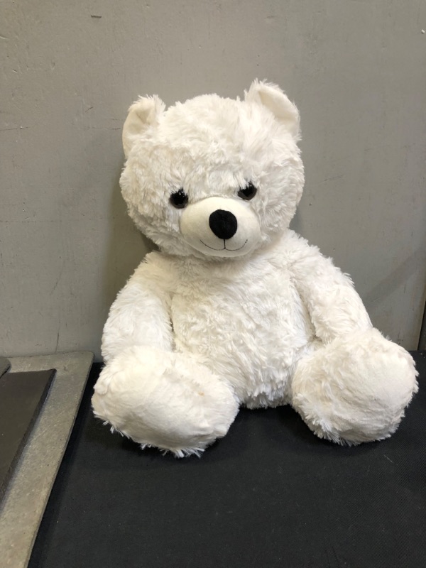 Photo 1 of WHITE PLUSH TEDDY BEAR