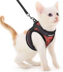 Photo 1 of RABBITGOO SMALL CAT HARNESS AND LEASH SET, RED S