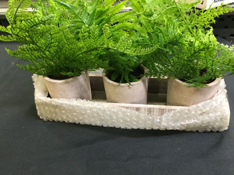 Photo 3 of 3 Pack Mini Potted Fake Plants Artificial Small Boston Ferns Plant with Wooden Planter Box for Tabletop Mantel Home Decor
