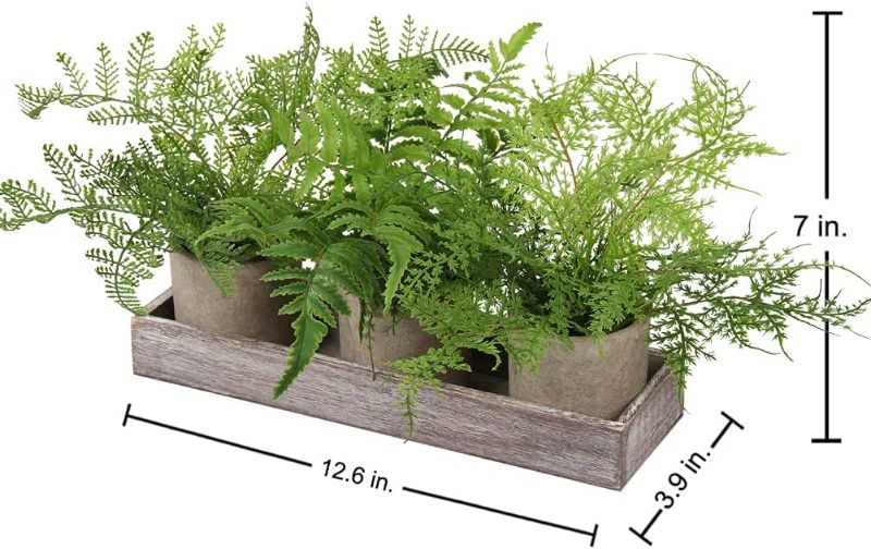 Photo 1 of 3 Pack Mini Potted Fake Plants Artificial Small Boston Ferns Plant with Wooden Planter Box for Tabletop Mantel Home Decor
