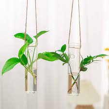 Photo 1 of Air Plant Terrariums - 2 Pack Cylinder Terrariums Glass Hanging Vase Terrarium for Hydroponic Plants,Flower,Indoor Outdoor Home Garden Decoration