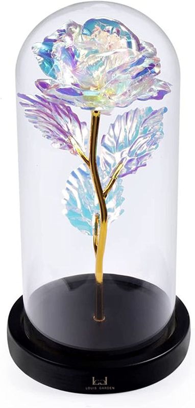 Photo 1 of Beauty and The Beast Rose, Gifts for Her Wife Mom, Enchanted Rose in Glass Dome, Women Birthday, Lights and Flowers
