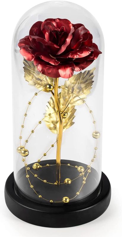 Photo 1 of  LG LOUIS GARDEN Enchanted Rose in Glass Dome - Women Anniversary Birthday Gifts, Lights and Flowers -