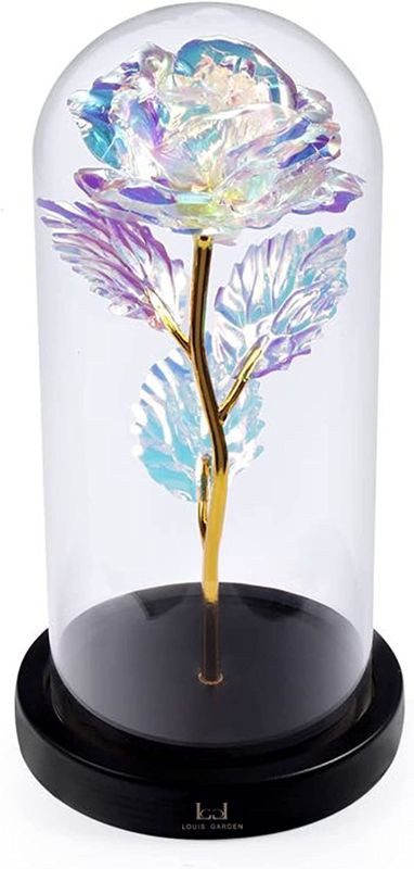 Photo 1 of  LG LOUIS GARDEN Enchanted Rose in Glass Dome - Women Anniversary Birthday Gifts, Lights and Flowers -