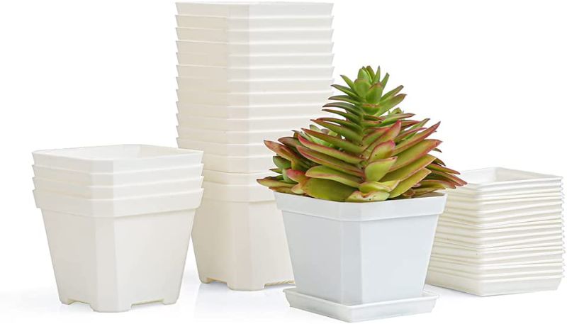 Photo 1 of BangQiao 20 Pack 3.90 Inch White Plastic Square Seedling and Nursery Pot Planter Container with Pot Saucer Tray for Succulent, Cutting, Transplanting
