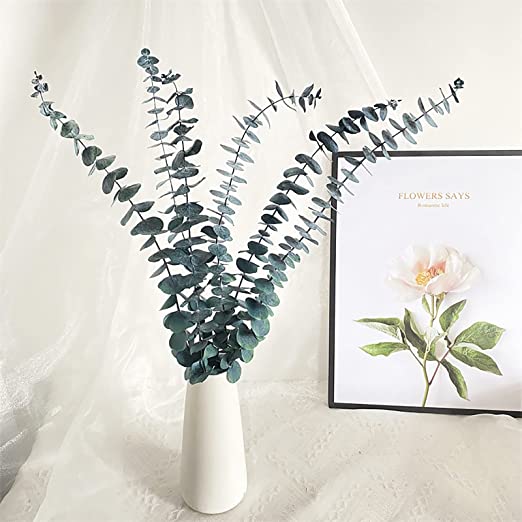 Photo 1 of 10 Pack Natural Dried Eucalyptus Bundle,17 inch/45cm Preserved Fresh Eucalyptus Branches Greenery Plants for Natural Aromatherapy to Your Shower,Also for Flower Arrangements Wedding Home Decor
