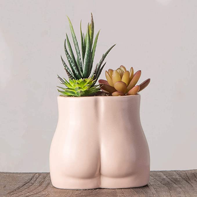 Photo 1 of ABETREE Succulent Pots Ceramic Planter Cactus Pot Cute Plant Pot for Indoor Plants Modern Flower Vase Boho Chic Decor Living Room Bedroom Home Decor
