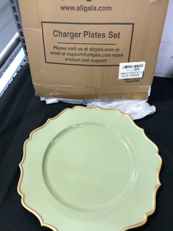 Photo 3 of allgala 13-Inch 6-Pack Heavy Quality Round Charger Plates-Floral Sage-HD80346 --- MISSING 1 PLATE 
