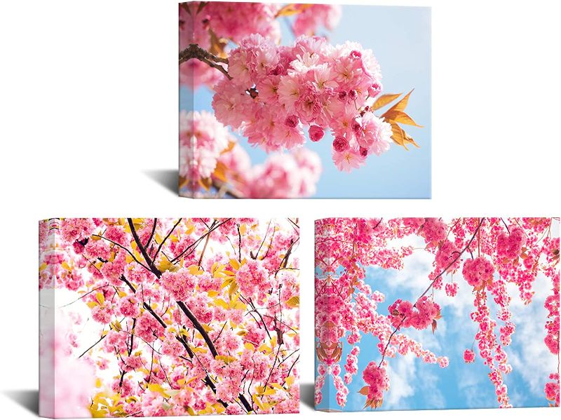 Photo 1 of 3 Pieces Flower Canvas Wall Art Cherry Sakura Blossom in Spring Picture Print Modern Home Decor Elegant Flowers Artwork Abstract Floral Paintings on Canvas for Bedroom Girls Room Decor
