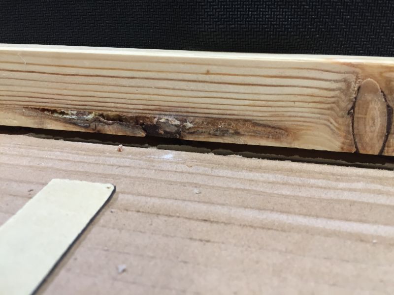 Photo 1 of 38 Inch Wooden Do Ramp. BOx Packaging Damaged, Moderate Use, , Scuffs and Scraches on item. 

