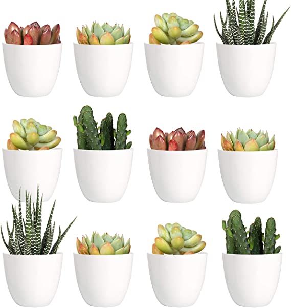 Photo 1 of Youngever 24 Pack 2 Inch Mini Plastic Planters, Indoor Flower Plant Pots, White Gardening Pot with Drainage - NO Plant Included (Modern)
