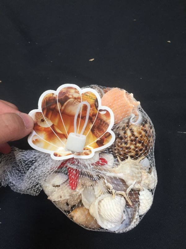 Photo 2 of Akusety Mixed Beach Seashells, 1.2"-3.6" Natural Seashells for Candle Making?Home Decorations, Beach Theme Party Wedding Decor, DIY Crafts, Fish Tank and Vase Fillers.
