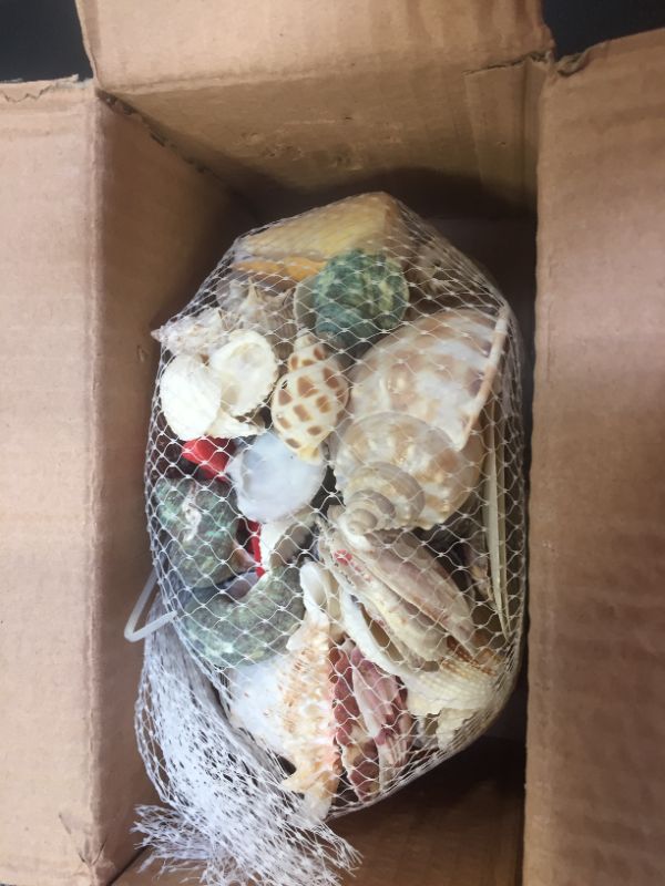 Photo 1 of Akusety Mixed Beach Seashells, 1.2"-3.6" Natural Seashells for Candle Making?Home Decorations, Beach Theme Party Wedding Decor, DIY Crafts, Fish Tank and Vase Fillers.
