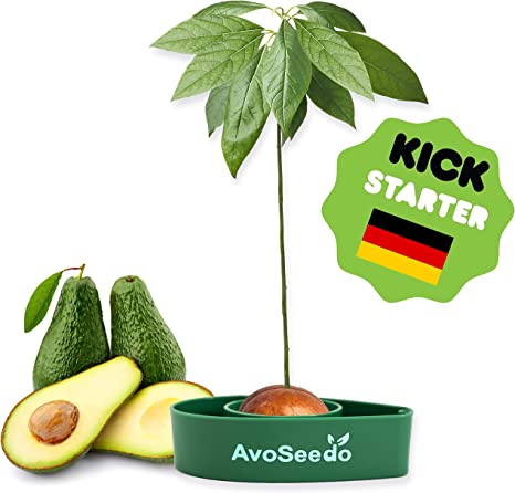 Photo 1 of AvoSeedo Avocado Tree Growing Kit, Green, Practical Gifts for Women, Mom, Sister & Best Friend, Plant Indoors with Novelty Pit Grower Boat & Kitchen Garden Seed Starter
