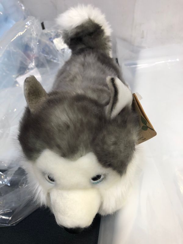 Photo 2 of Aurora World Miyoni Lying Husky Plush - 26263 11 inches
