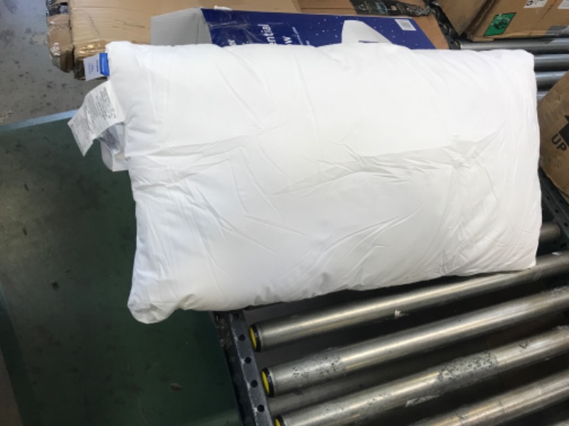 Photo 1 of Casper Sleep Essential Pillow for Sleeping, King, White