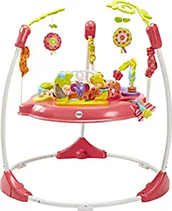 Photo 1 of Fisher-Price Jumperoo: Pink Petals -- CLEAN BEFORE USE
