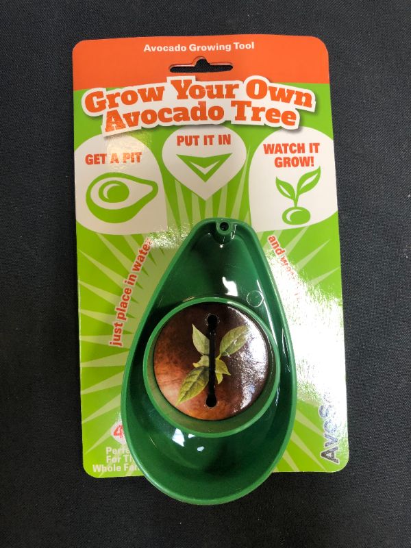 Photo 2 of AvoSeedo Avocado Tree Growing Kit with Novelty Pit Grower Boat & Kitchen Garden Seed Starter