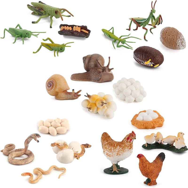 Photo 1 of OrgMemory Life Cycle Figurines, 20Pcs, Showing Kids The 4 Stages of Hen, Snake, Grasshopper, Mantis and Snail (Set D)
