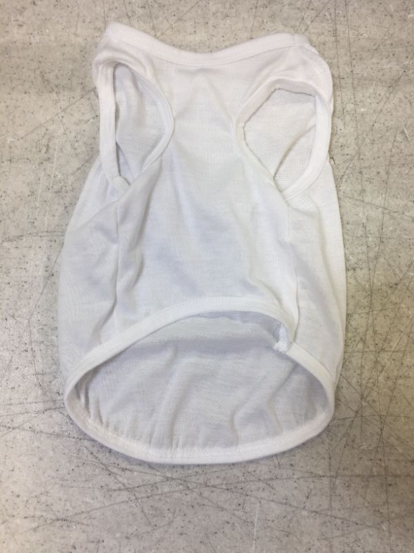 Photo 2 of Blank Dog Shirt - MEDIUM - WHITE -