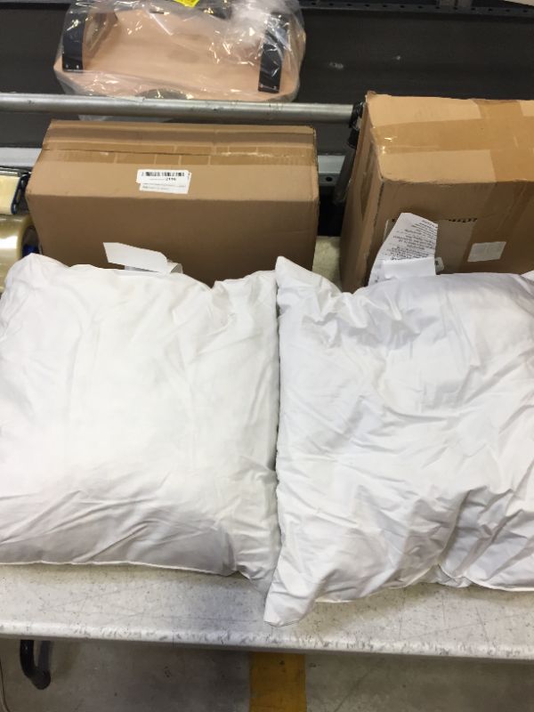 Photo 1 of 2 PC GENERIC PILLOWS 18X18 