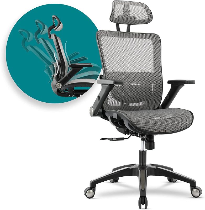 Photo 1 of Horshod Silvans Office Mesh Chair, Rolling Computer Chair High Back Swivel Executive Chair with 4D Adjustable Flip-Up Armrest, Tilt Function & Adjustable Lumbar Support (Grey), 2577