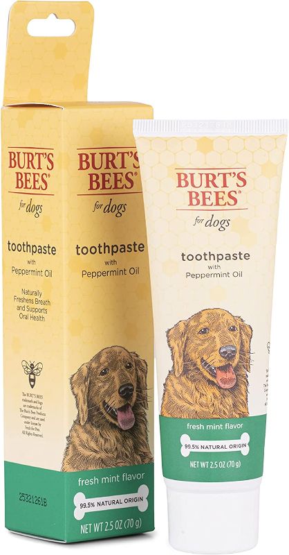 Photo 1 of 10x Burt's Bees for Dogs Toothpaste with Honeysuckle and Peppermint Oil, 2.5 oz in Fresh Mint Flavor | Dog Toothpaste Mint Flavor with 99.5% Natural Formula, Best Dog Toothpaste
