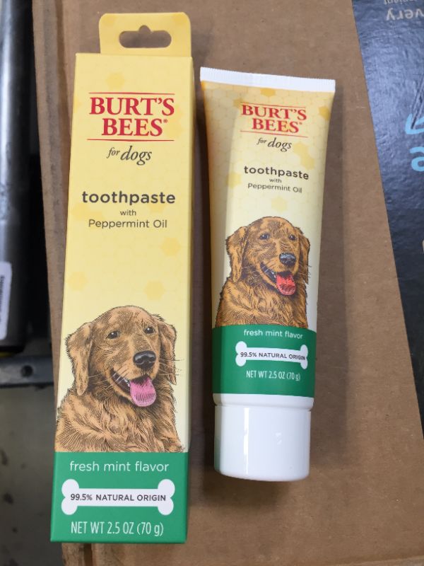Photo 4 of 10x Burt's Bees for Dogs Toothpaste with Honeysuckle and Peppermint Oil, 2.5 oz in Fresh Mint Flavor | Dog Toothpaste Mint Flavor with 99.5% Natural Formula, Best Dog Toothpaste
