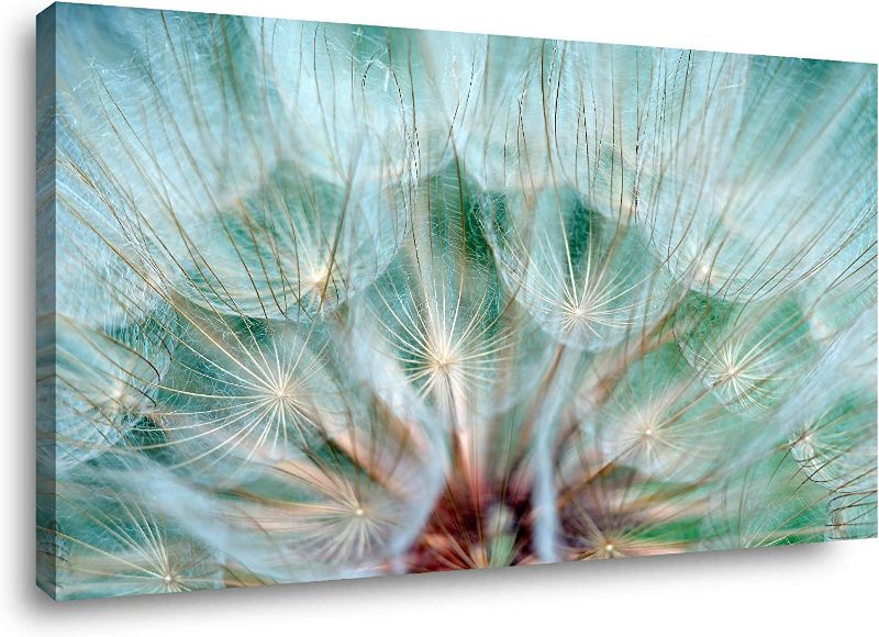 Photo 1 of Bathroom Wall Art 23.5 x 47.5 inches Bedroom Wall Art Dandelion Wall Art Pictures Teal Canvas Print 