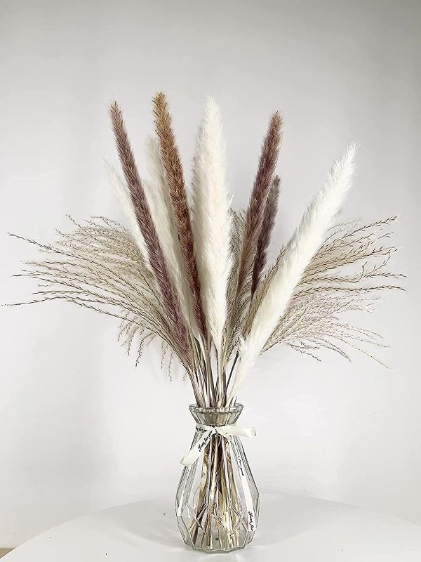 Photo 1 of 17 Inch Pampas Grass,Pampas Grass Decor and Dried Pampas Grass,30 Pcs Pompous Grass,Pompass Grass Branches for Living Room,Kitchen Decor or Boho Flowers Decor(Without Vase)
