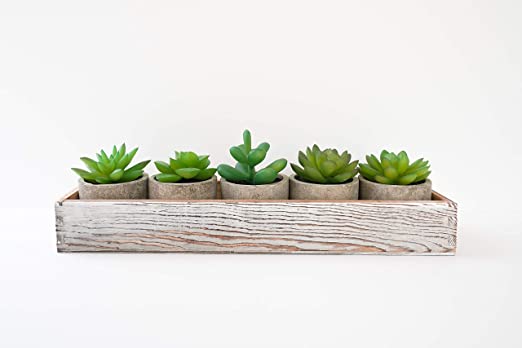 Photo 1 of 5 Piece Faux Succulent Set | Includes Rustic Wood Holder | Artificial Succulent Plants in Cement Pots | for Home or Office Decoration | Decorative Potted Succulent
