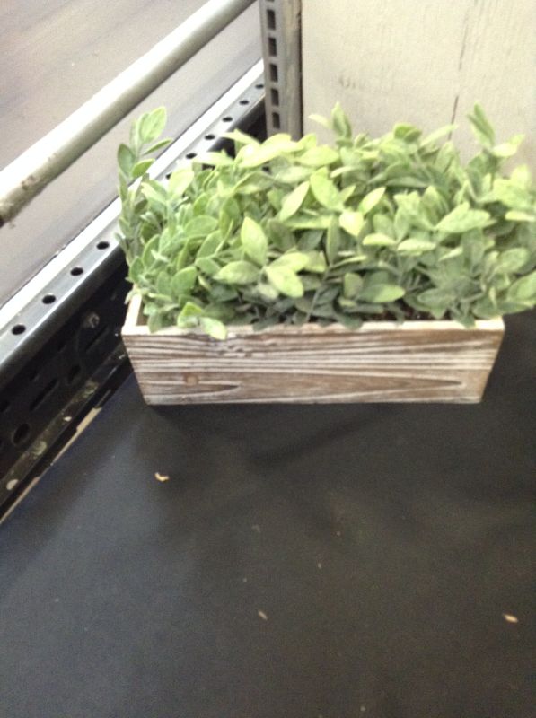 Photo 2 of Artificial Wooden Potted Boxwood Plant Dusty Green Faux Greenery Plants in Wood Planter Box s for Rustic